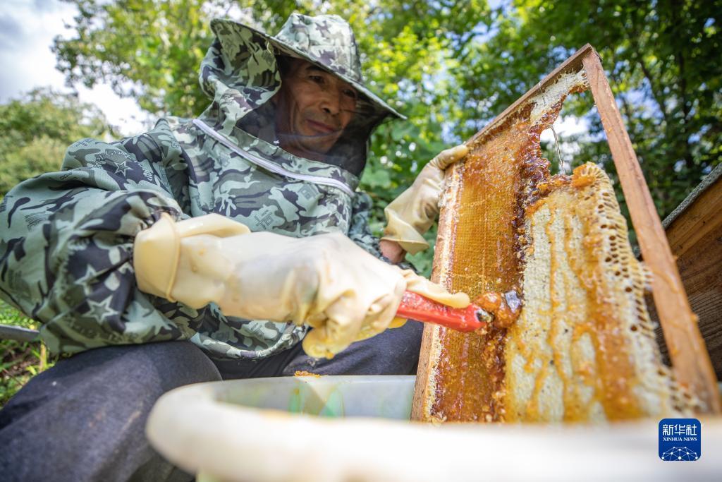 威尼斯商人网站网站